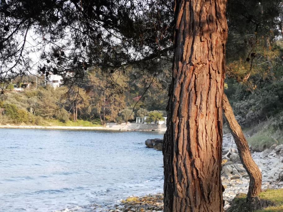 Central Thassos Apartment 3 外观 照片
