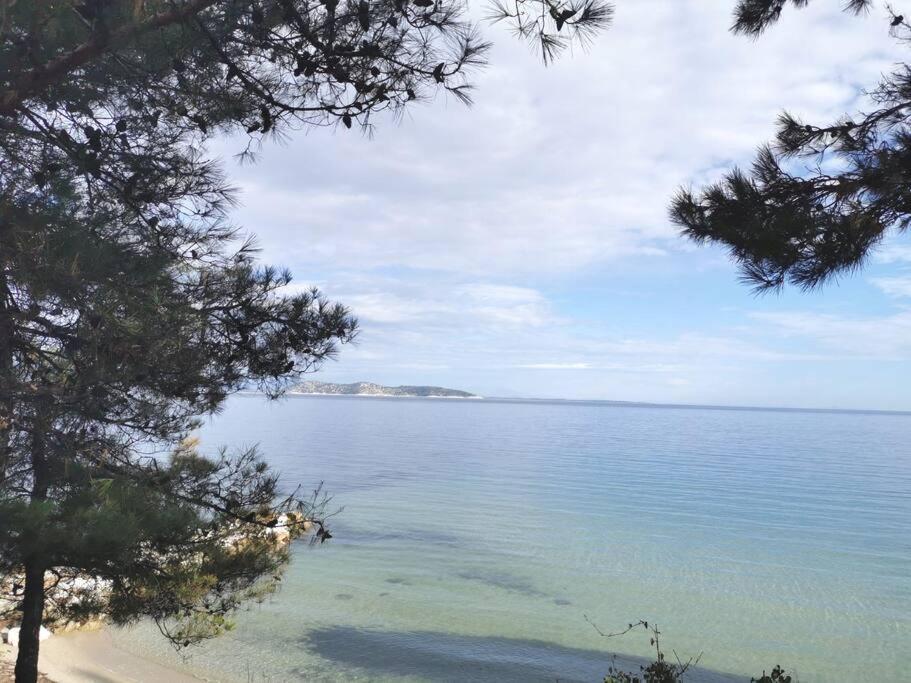 Central Thassos Apartment 3 外观 照片